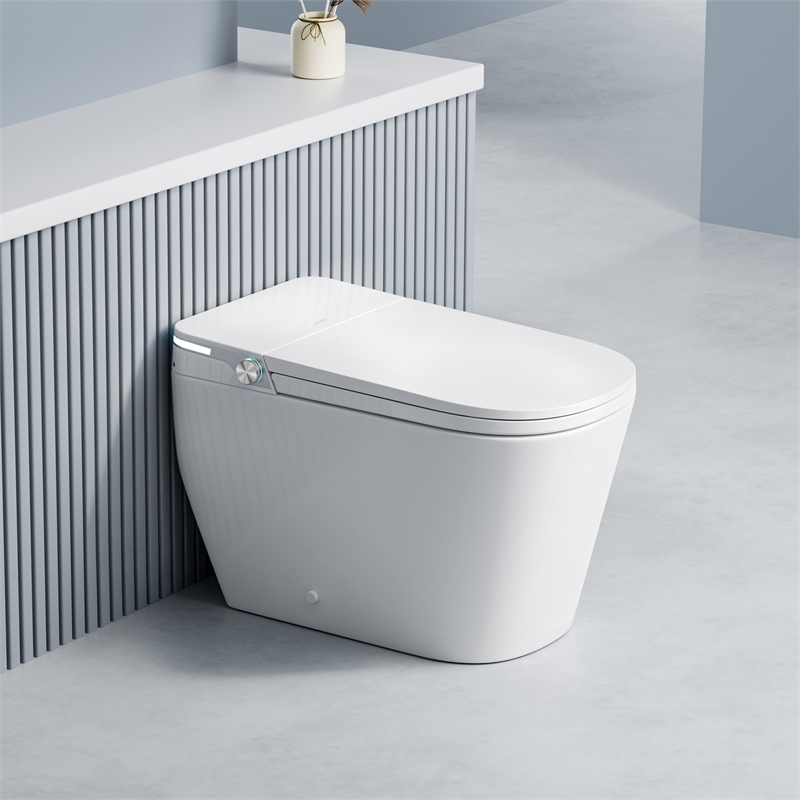 Yecla Smart Bidet Toilet with Heated Seat/ Dryer & Foot/Remote Flush