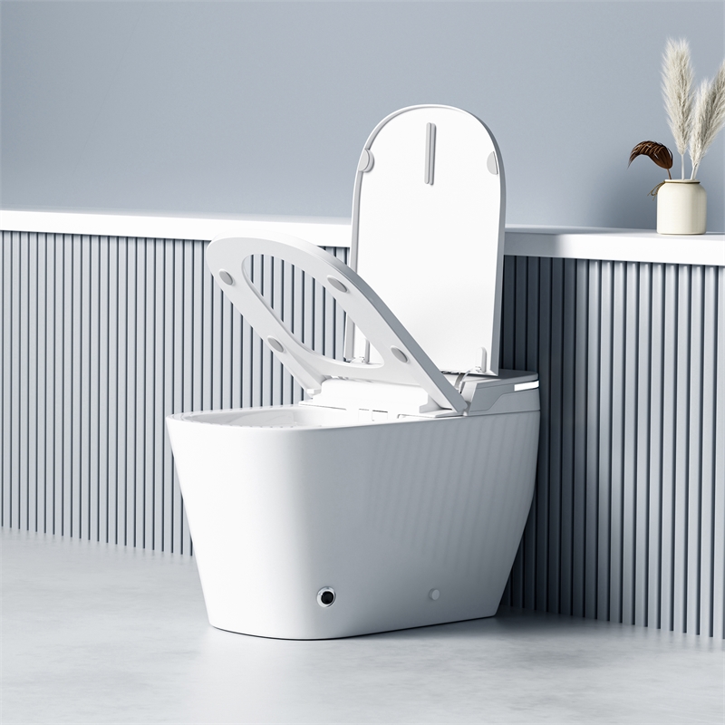 Yecla Smart Bidet Toilet with Heated Seat/ Dryer & Foot/Remote Flush