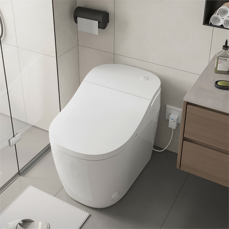 Vittuone Elongated Smart Bidet Toilet with Uv Sterilization/Aroma Diffuser