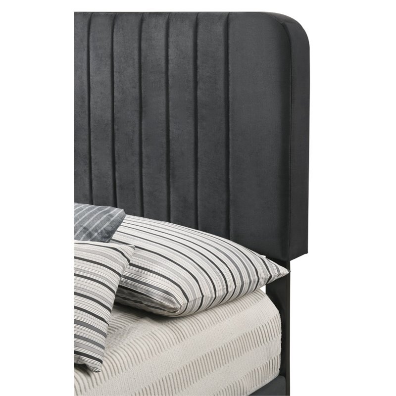 Glory Furniture Lodi Velvet Upholstered Twin Bed in Black