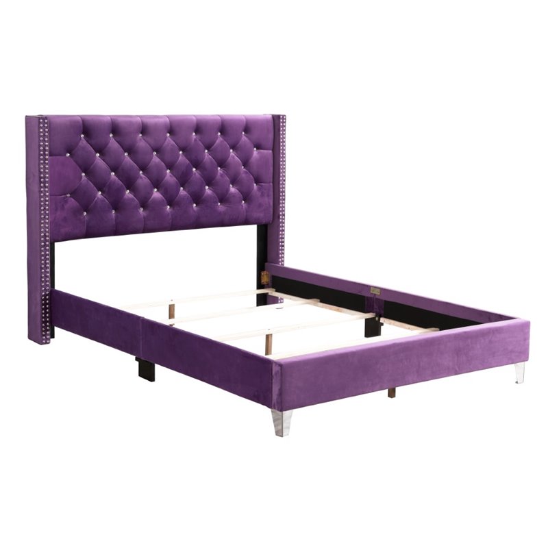 Glory Furniture Julie Velvet Upholstered Queen Bed in Purple