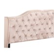 Glory Furniture Joy Velvet Upholstered King Bed in Beige