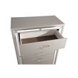 Glory Furniture Alana Chest in Silver Champagne
