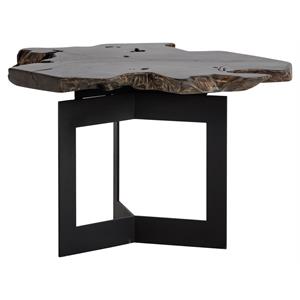 Sunpan Wyatt 31&quot Modern Wood End Table with Steel Frame in Brown