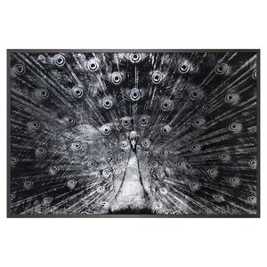 Sunpan 72&quot Modern Acrylic and Wood Silver Plumage Wall Art in Charcoal/Silver