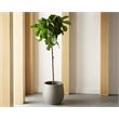 Sunpan Rosen 19.75