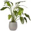 Sunpan Rosen 19.75