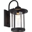CHLOE Cole Transitional 1 Light Textured Black Outdoor Wall Sconce 16