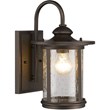 CHLOE Cole Transitional 1 Light Rubbed Bronze Outdoor Wall Sconce 13