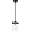 CHLOE 1 Light Textured Black Mini Pendant Ceiling Fixture 6