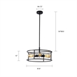 Chloe Lighting Ryker 4-Light Metal Ceiling Pendant in Matte Black