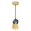 CWI Lighting Saleen Contemporary Metal LED Mini Pendant in Brass/Black