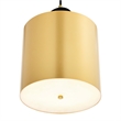CWI Lighting Saleen Contemporary Metal LED Mini Pendant in Brass/Black