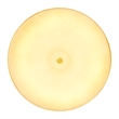 CWI Lighting Saleen Contemporary Metal LED Mini Pendant in Brass/Black