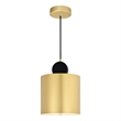 CWI Lighting Saleen Contemporary Metal LED Mini Pendant in Brass/Black