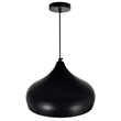 CWI Lighting Dynamic 1 Light Down Contemporary Metal Pendant in Black