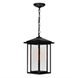 CWI Lighting Crawford 1 Light Farmhouse Metal Outdoor Hanging Light in Black