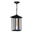 CWI Lighting Crawford 1 Light Farmhouse Metal Outdoor Hanging Light in Black