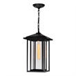 CWI Lighting Crawford 1 Light Farmhouse Metal Outdoor Hanging Light in Black