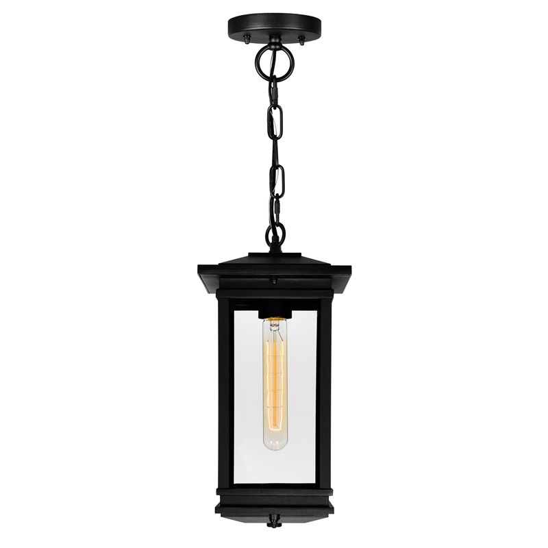 CWI Lighting Oakwood 1 Light Glass Outdoor Hanging Lantern Pendant in Black