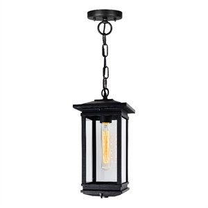 CWI Lighting Oakwood 1 Light Glass Outdoor Hanging Lantern Pendant in Black