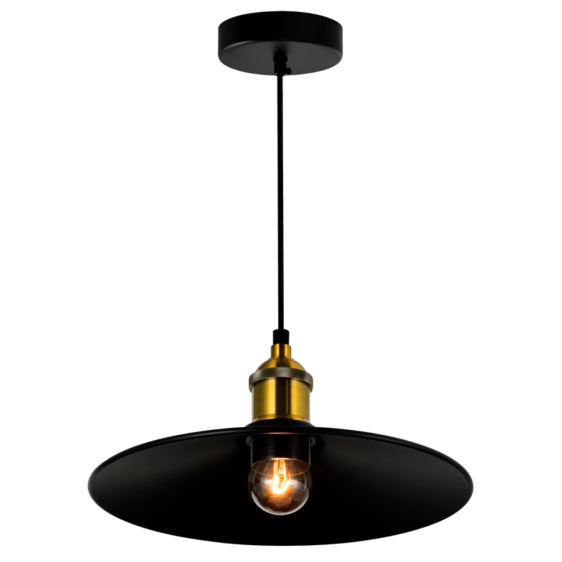 CWI Lighting Brave 1 Light Sophisticated Metal Indoor Mini Pendant in Black