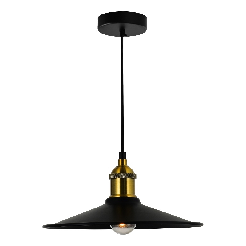 CWI Lighting Brave 1 Light Sophisticated Metal Indoor Mini Pendant in Black