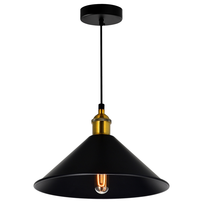 CWI Lighting Brave 1 Light Metal Indoor Mini Pendant in Black