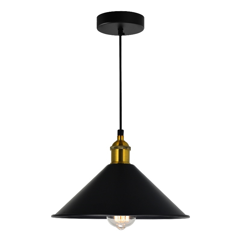 CWI Lighting Brave 1 Light Metal Indoor Mini Pendant in Black