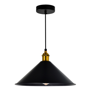 CWI Lighting Brave 1 Light Metal Indoor Mini Pendant in Black