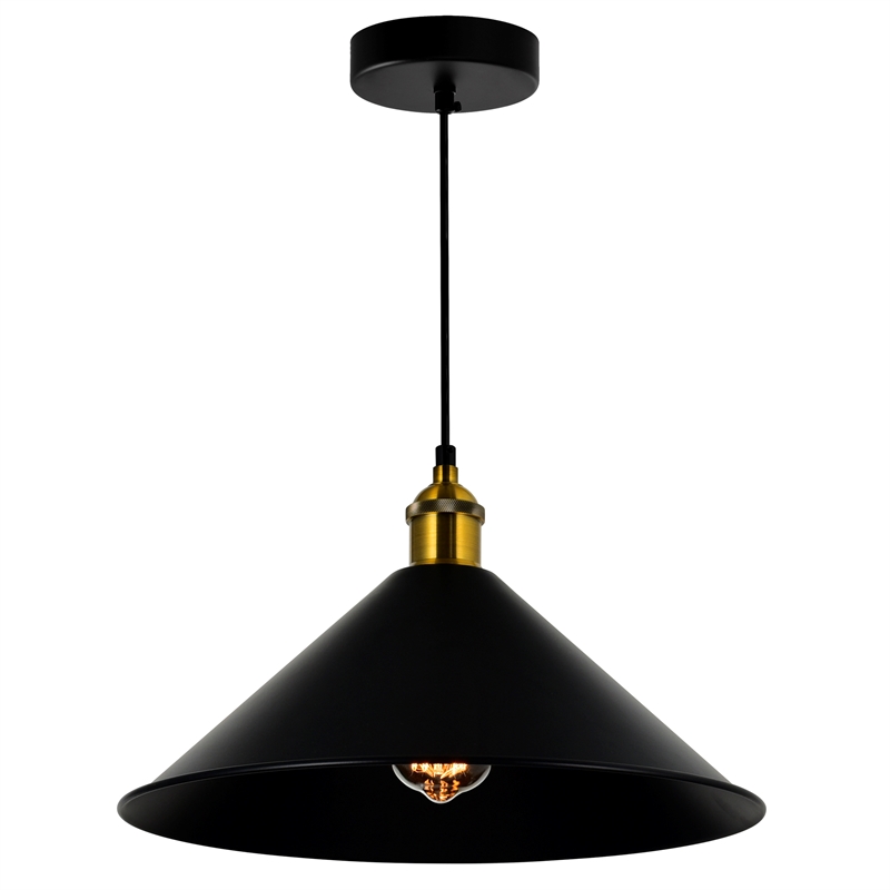 CWI Lighting Brave 1 Light Metal Indoor Mini Pendant in Black