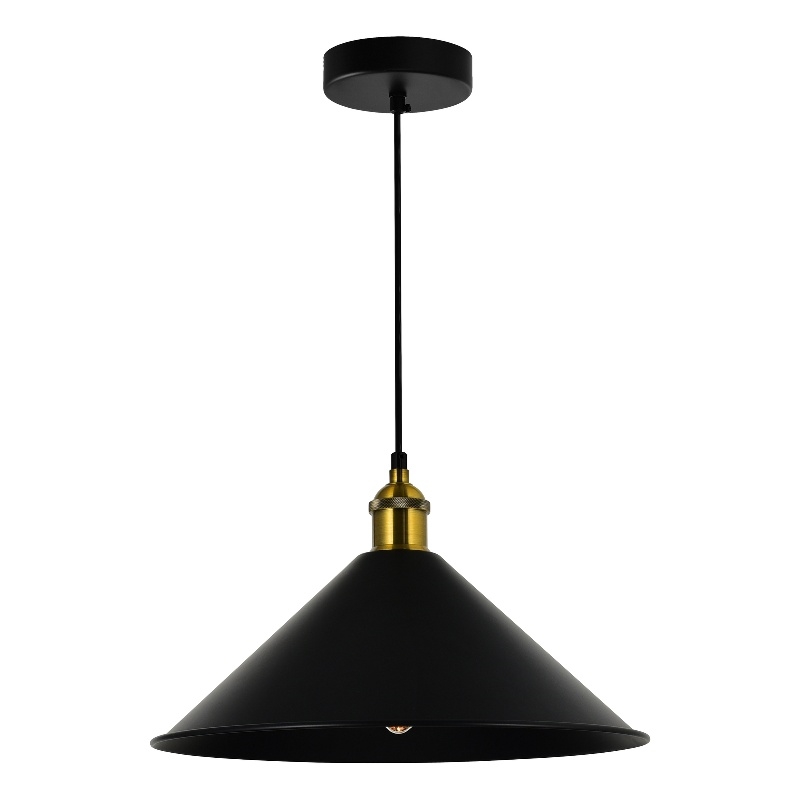 CWI Lighting Brave 1 Light Metal Indoor Mini Pendant in Black