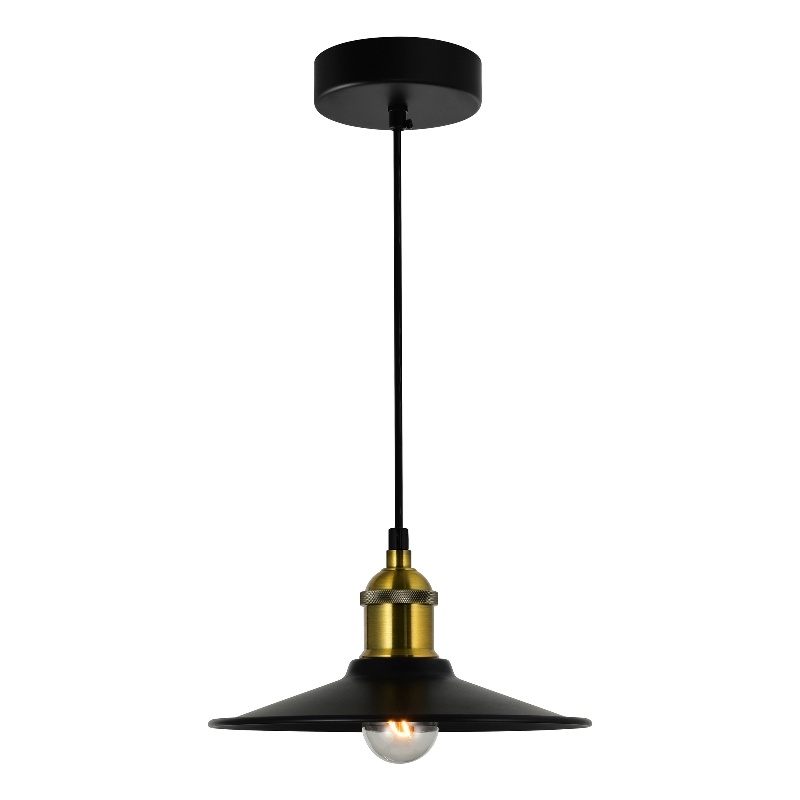 CWI Lighting Brave 1 Light Metal Indoor Mini Pendant in Black