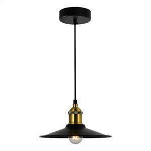 CWI Lighting Brave 1 Light Metal Indoor Mini Pendant in Black