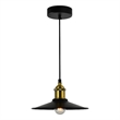 CWI Lighting Brave 1 Light Metal Indoor Mini Pendant in Black