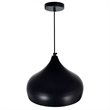 CWI Lighting Dynamic 1 Light Modern Metal Down Pendant in Black