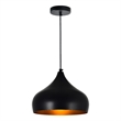 CWI Lighting Dynamic Single Light Down Metal Pendant in Black