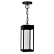 CWI Lighting Rochester LED Integrated Black Metal Outdoor Ceiling Light