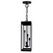 CWI Lighting Windsor 4 Light Black Metal Outdoor Ceiling Light