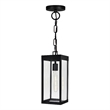 CWI Lighting Windsor 1 Light Black Metal Outdoor Ceiling Light