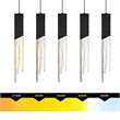 Petra Integrated LED 24in Black Chandelier with Handcrafted Glass