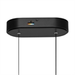 Curva Integrated LED 22in Black Chandelier with Handcrafted Glass