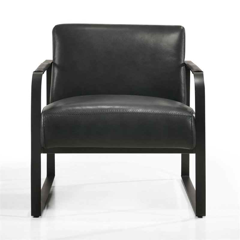 Omax Decor Mason Steel/Genuine Leather Lounge Accent Chair in Black/Black