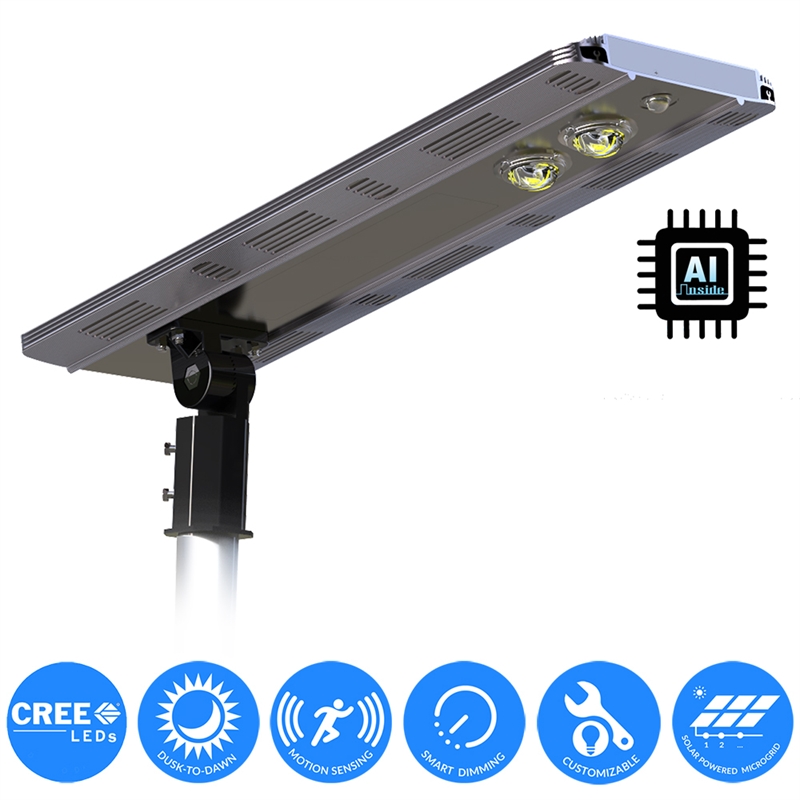 eLEDing 5000K 20W 5th Gen Solar Hybrid Microgrid LED Street Light in Silver