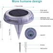 eLEDing 4-light Deco LED Garden Pool Porch Waterproof Light in Multi-Color
