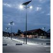eLEDing 100W Solar Panel and 60W Cobra Head Light Solar Power SMART in Silver