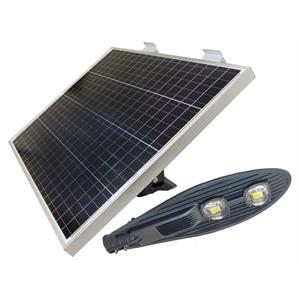 eLEDing 100W Solar Panel and 60W Cobra Head Light Solar Power SMART in Silver