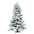 Vickerman 60