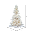 Vickerman 54