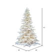 Vickerman 54